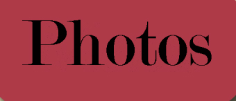 Our Photo Album